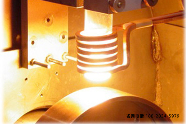 ȫ�Ԅ����S���C�����